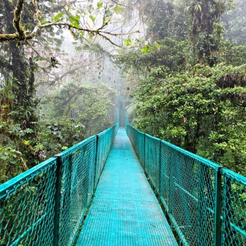 Costa Rica Monteverde Hanging BridgeBridges