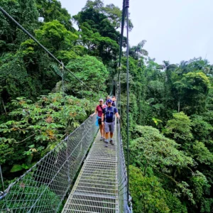 hanging bridge