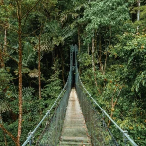 Hanging Bridges